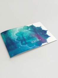 A3 Landscape Pinning Brochure