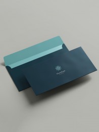 DL Envelope
