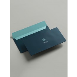 DL Envelope